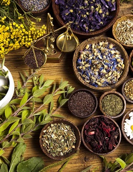 Tan Chảy Với 20+ Cách Làm Bánh Phô Mai Béo Ngậy