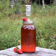 Rượu dâu tây tại nhà