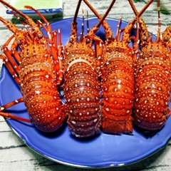 Tôm hùm baby luộc bia