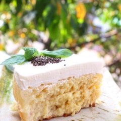 Gato dừa kem phô mai